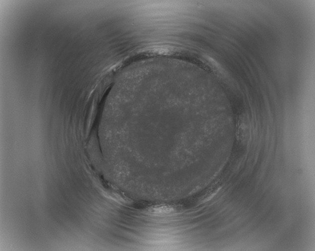 X0000063480500200602172027