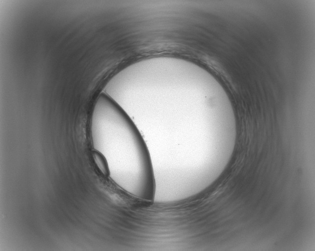 X0000063480501200602172027