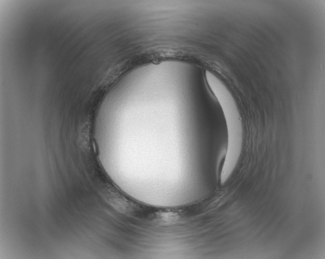 X0000063480509200602172027