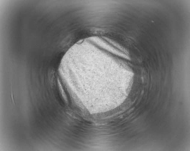 X0000063480511200602172027