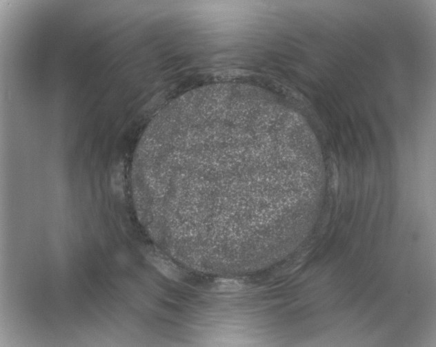 X0000063480519200602172027