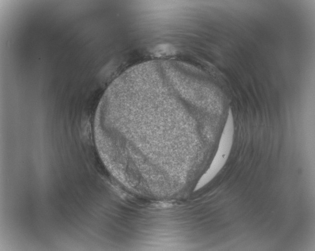 X0000063480523200602172027
