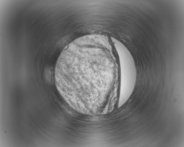 X0000063480527200602172026