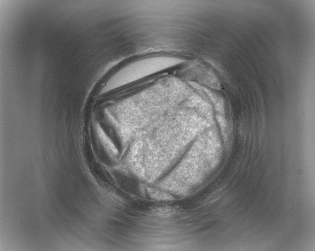 X0000063480540200602172026