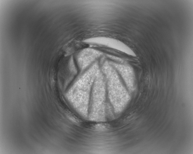 X0000063480566200602172026