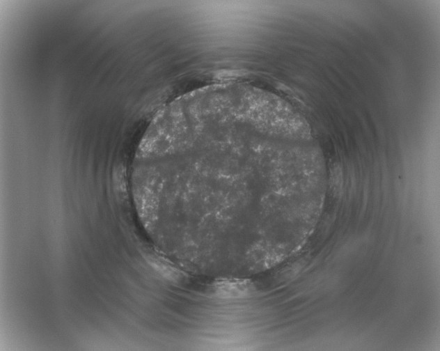 X0000063480571200602172026