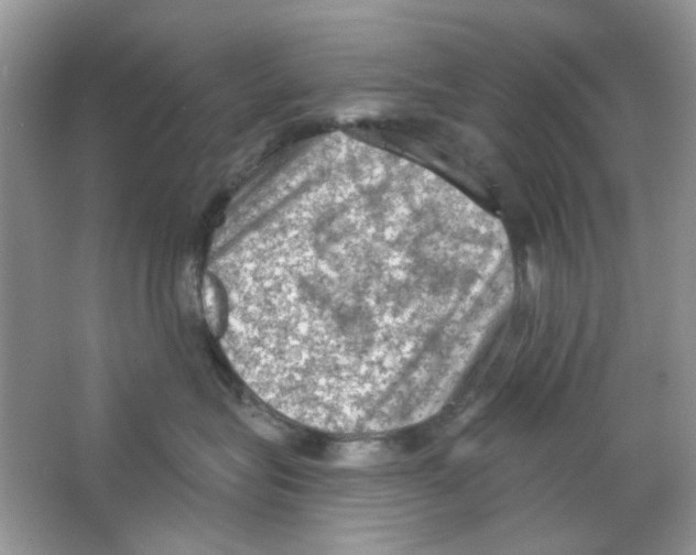 X0000063480575200602172026