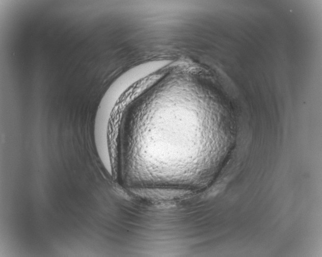 X0000063480576200602172026