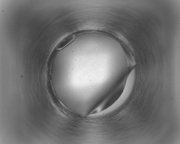 X0000063480580200602172026