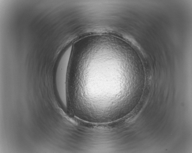 X0000063480585200602172025