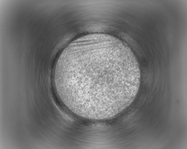 X0000063480586200602172025