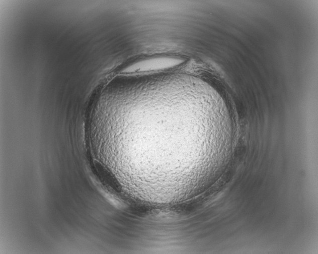 X0000063480589200602172025