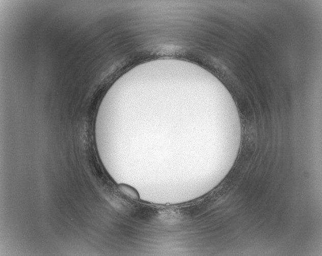 X0000063480591200602172025