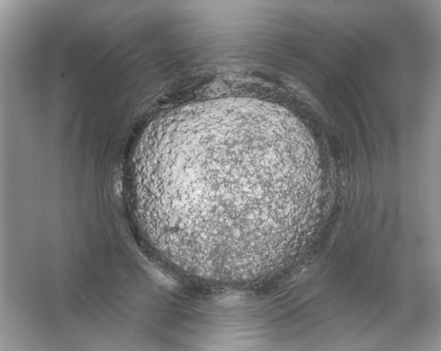 X0000063480593200602172025