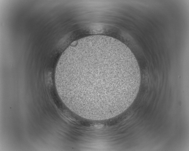 X0000063480598200602172025