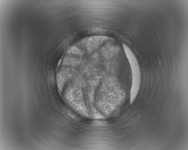 X0000063480617200602172025