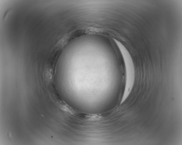 X0000063480621200602172025