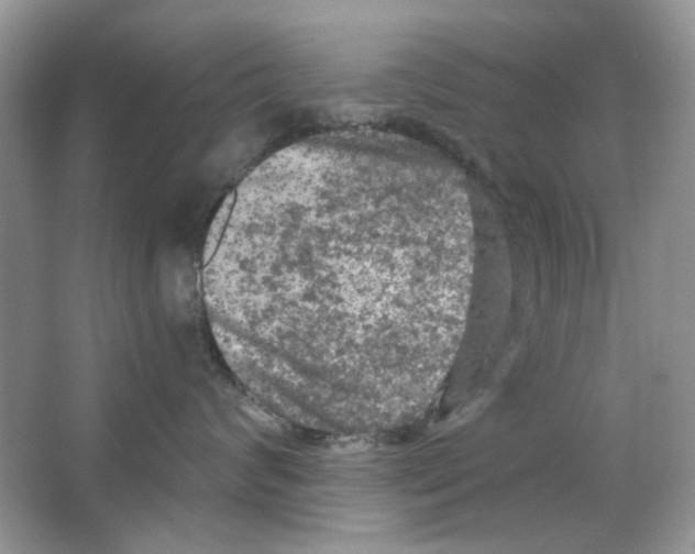 X0000063480624200602172025