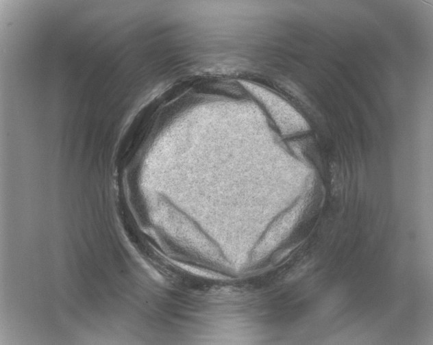 X0000063480634200602172024