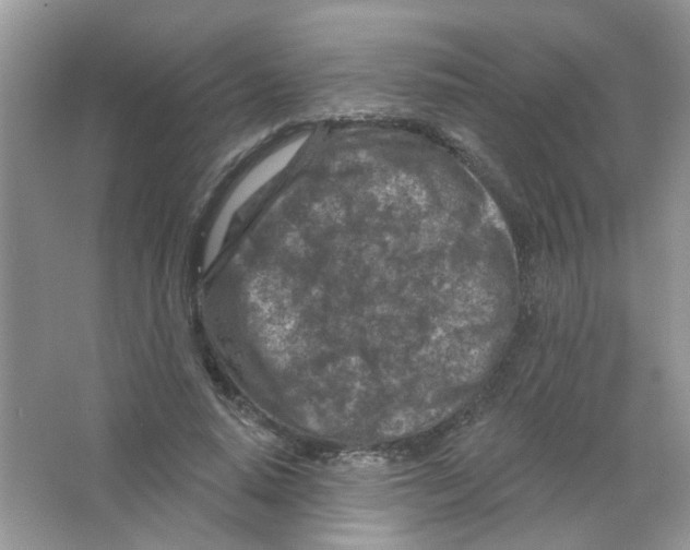 X0000063480640200602172024