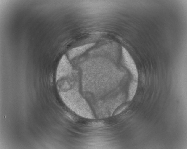 X0000063480668200602172025