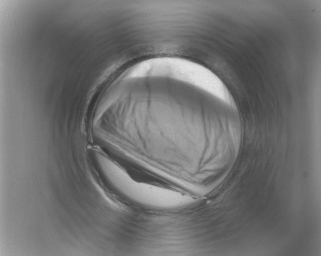 X0000063480674200602172024