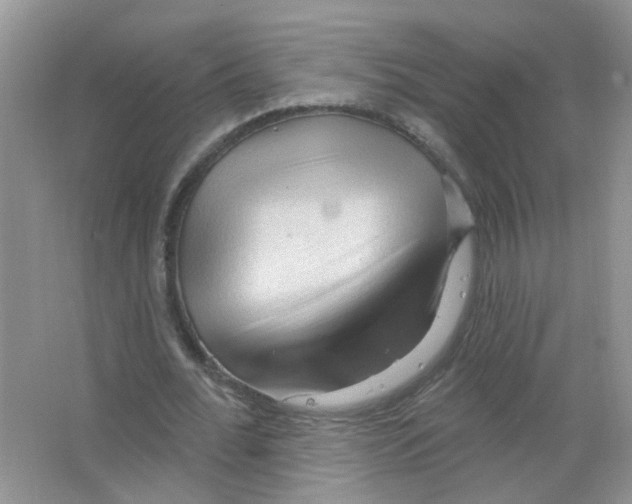 X0000063480676200602172024