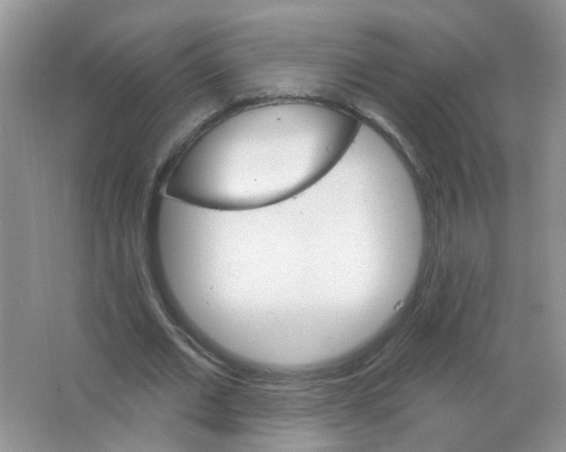 X0000063480677200602172024