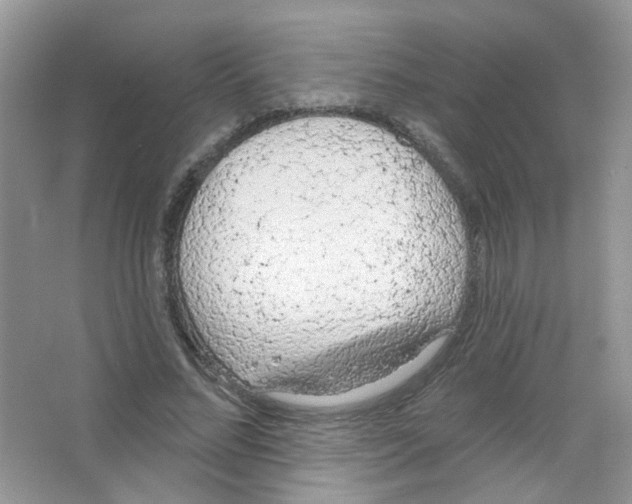 X0000063480684200602172024