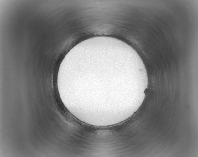 X0000063480686200602172024