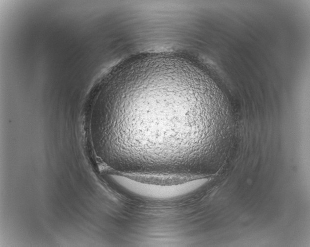 X0000063480688200602172024