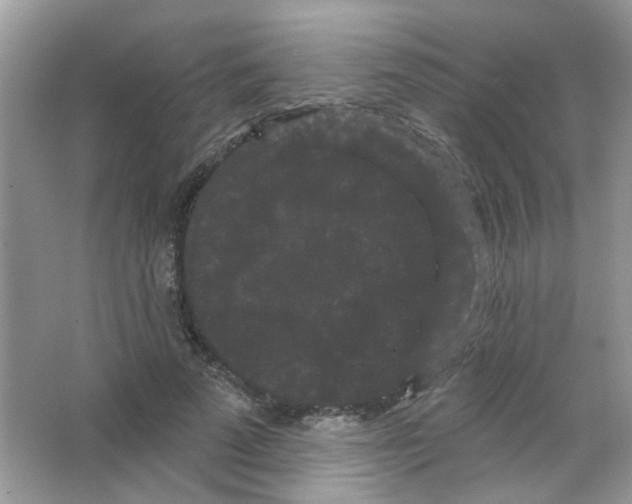 X0000063480689200602172024