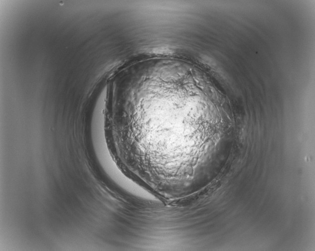 X0000063480692200602172024