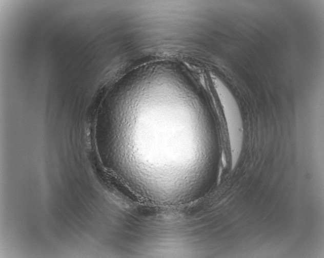 X0000063480696200602172023