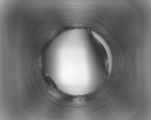 X0000063480700200602172023