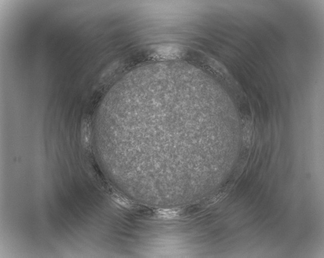 X0000063480701200602172023