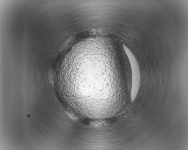 X0000063480712200602172023