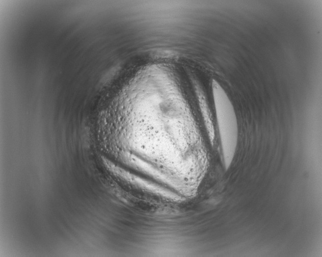 X0000063480716200602172023