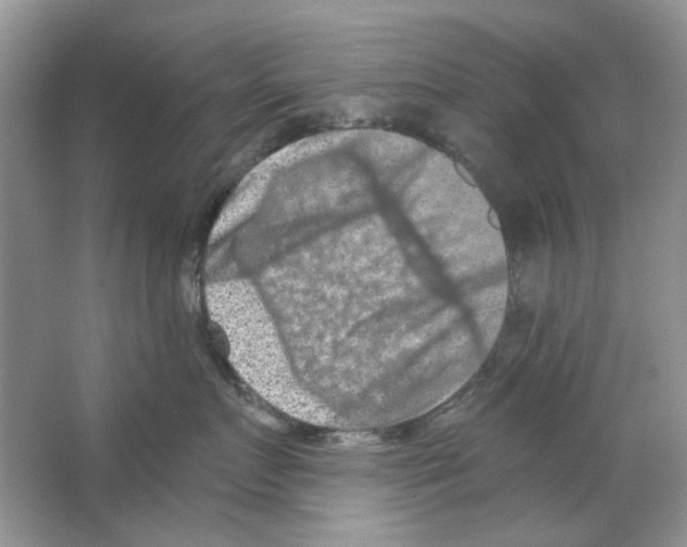 X0000063480719200602172023