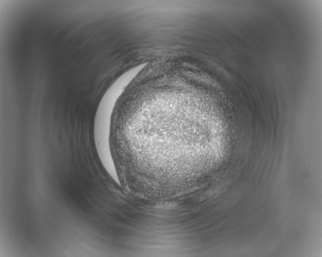X0000063480720200602172023