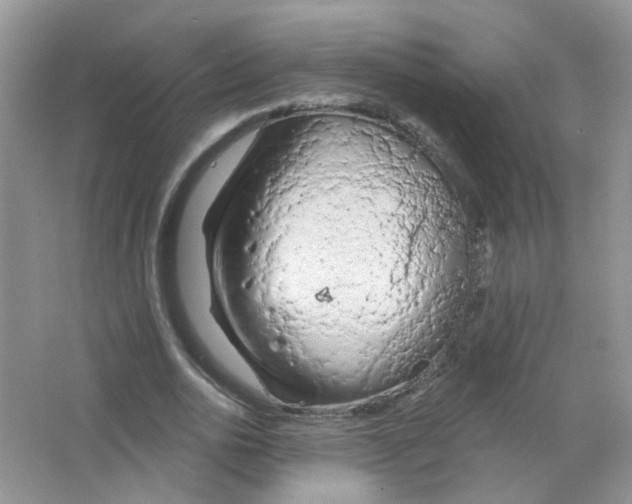 X0000063480726200602172022
