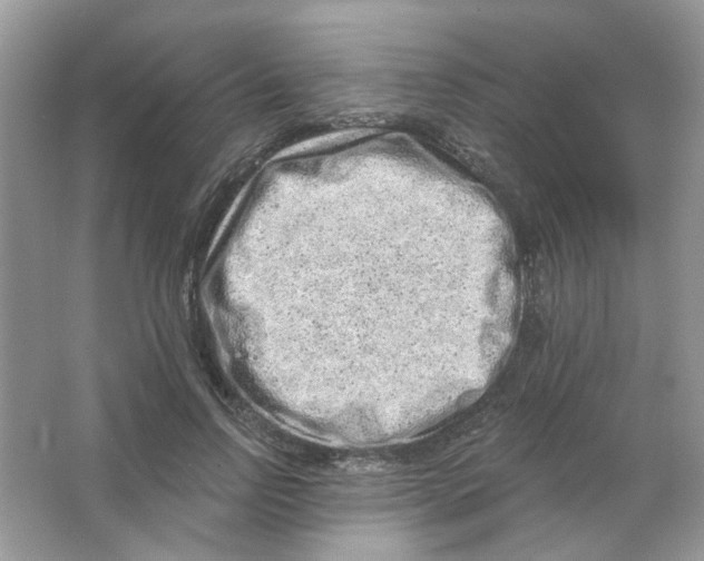 X0000063480742200602172023
