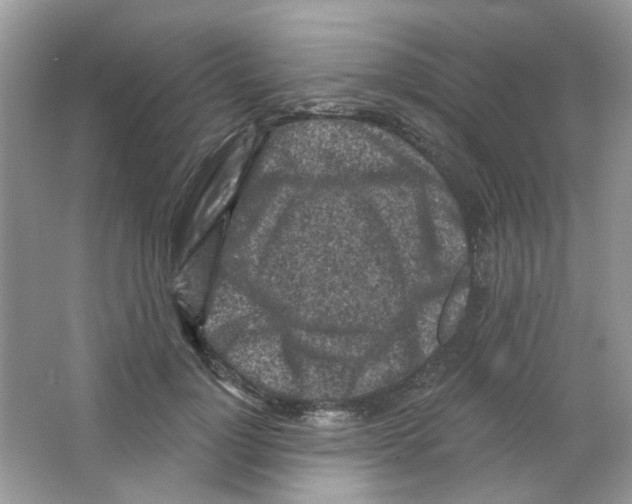 X0000063480748200602172023