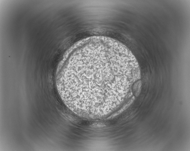 X0000063480749200602172023