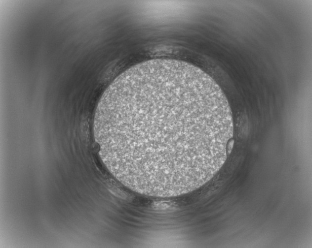 X0000063480753200602172023
