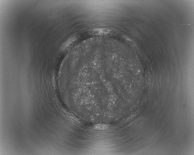 X0000063480762200602172023