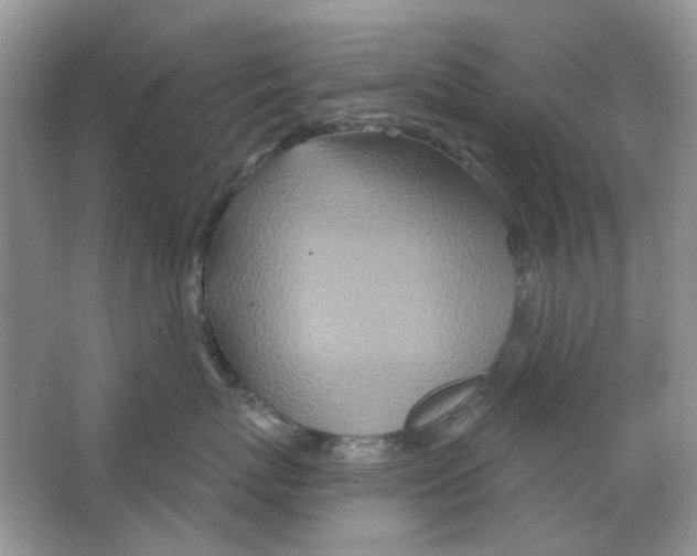 X0000063480767200602172023