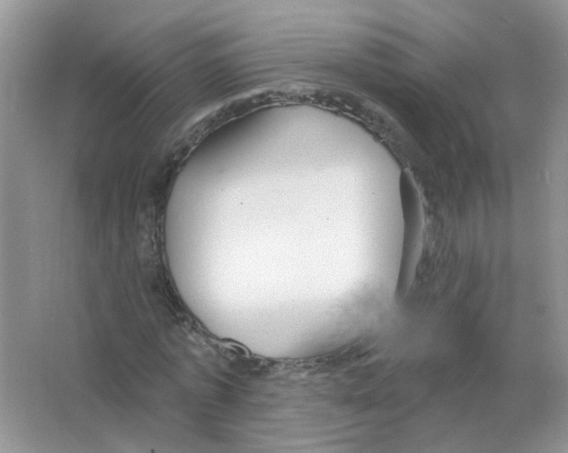 X0000063480773200602172022