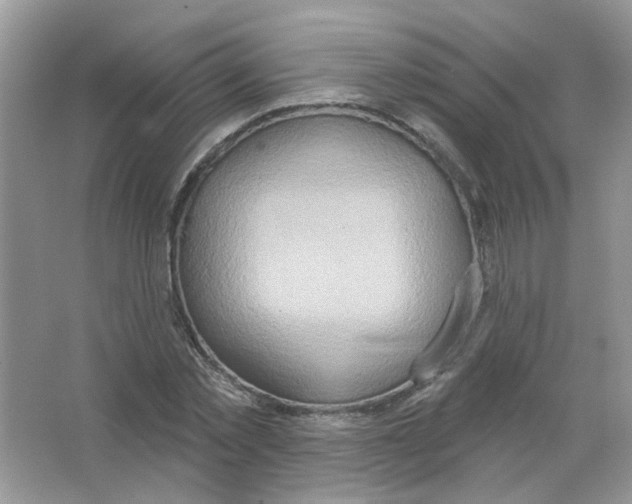 X0000063480781200602172022