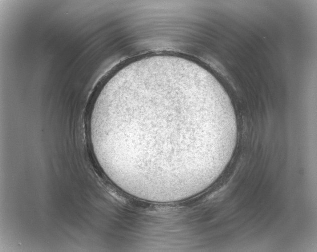 X0000063480782200602172022